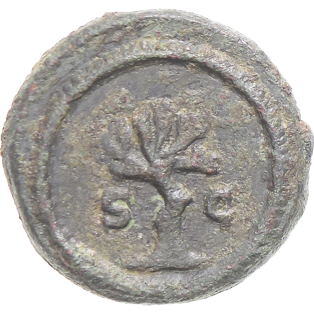 minca,
Antoninus Pius,
Kvadrany