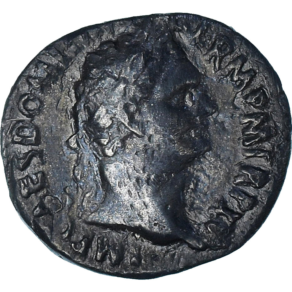Domitian,
denár,
95-96