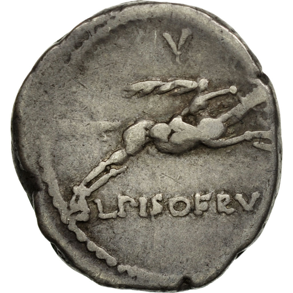 minca,
Calpurnia,
denár