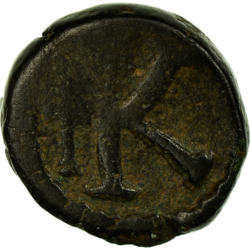 minca,
Anastasius I.
Polovičný Follis