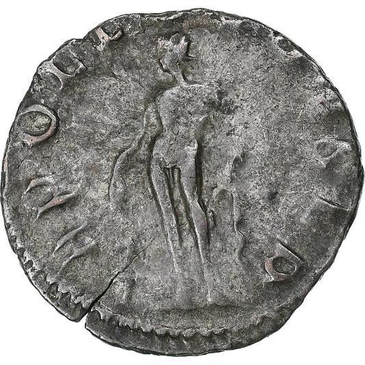 Gallienus, 
  
  Antoninianus, 
  
  253-254