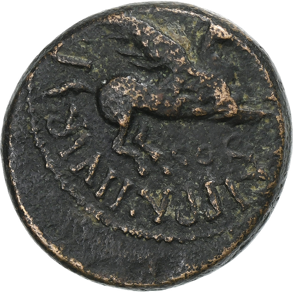 Corinthia, 
  
  Caligula, 
  
  Æ Jednotka