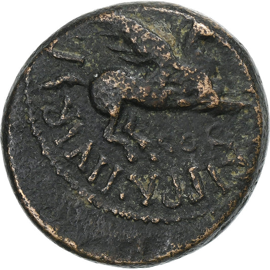 Corinthia, 
  
  Caligula, 
  
  Æ Jednotka