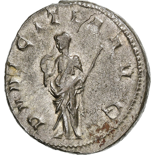 Herennia Etruscilla, 
  
  Antoninianus, 
  
  249-251