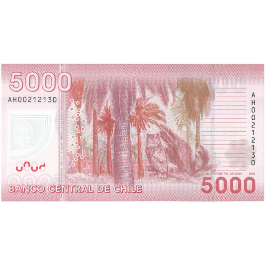 Čile, 
  
  5 000 pesos, 
  
  2009