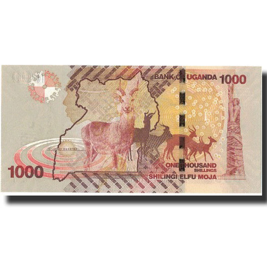 bankovka, 
  
  Uganda, 
  
  1000 šilingov
