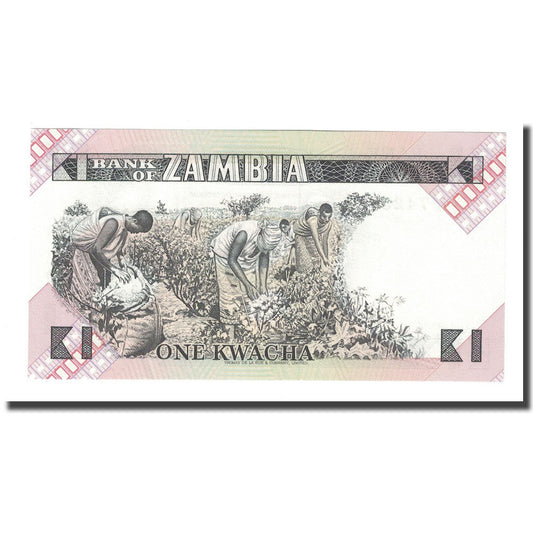 bankovka, 
  
  Zambia, 
  
  1 Kwacha