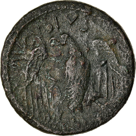 minca, 
  
  Augustus, 
  
  Kvadrany